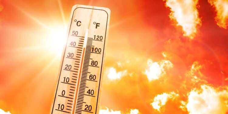 2024: Tarihin En Sıcak Yılı Olmaya Aday