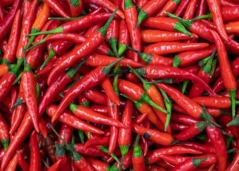 Baharatlı Yiyeceklerin Vücut Üzerindeki Etkileri