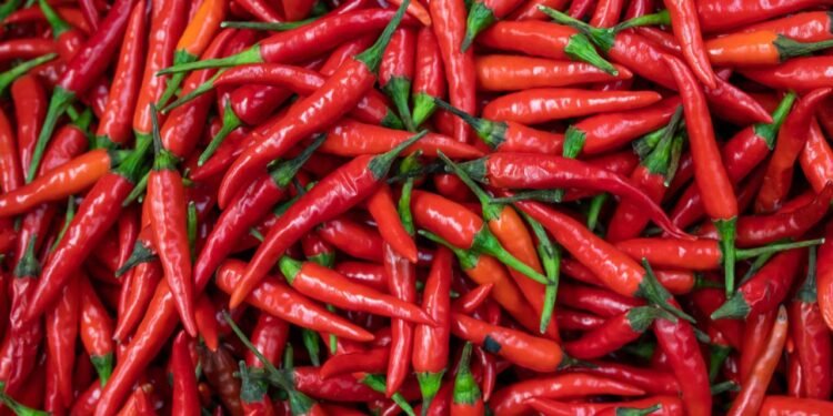 Baharatlı Yiyeceklerin Vücut Üzerindeki Etkileri