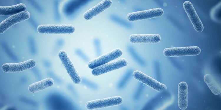 Bakteri GPS’i: Seyahatlerinizi Takip Etmenin Yenilikçi Yolu