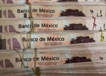 Meksika Ekonomisinde Para Politikası ve Kredi Notu Değişiklikleri