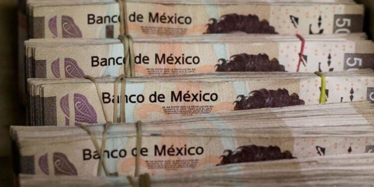 Meksika Ekonomisinde Para Politikası ve Kredi Notu Değişiklikleri