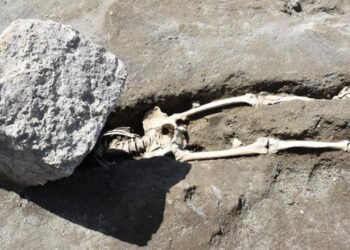 Pompeii Felaketinin Şanssız Kurbanı