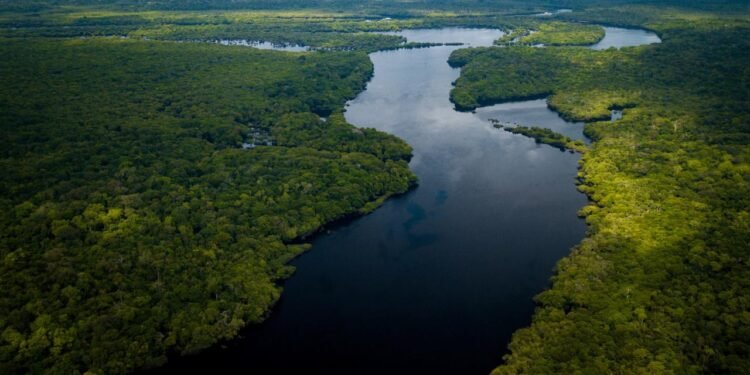 Amazon Nehri’nde Köprü Eksikliği ve Altyapı Sorunları