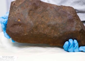 David Hole’un 4,6 Milyar Yıllık Meteoriti Keşfi