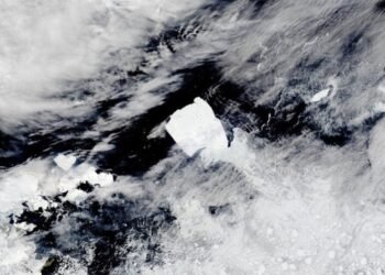 Devasa Buzdağı A23a’nın Yolculuğu ve Ekosistem Üzerindeki Etkileri
