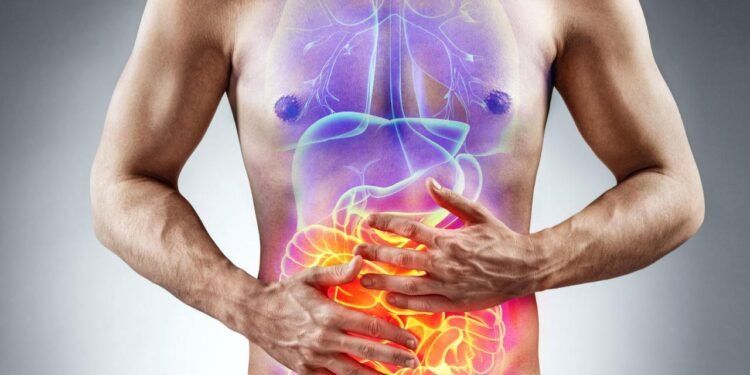 Dikilitaşlar: Yeni Bir Yaşam Formunun Keşfi