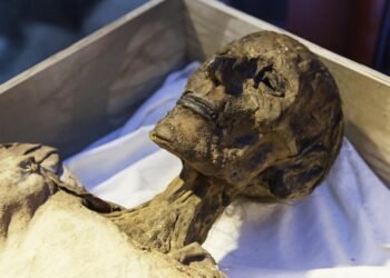 Eski Mısır’da Veba İzleri: Moleküler Kanıtlar