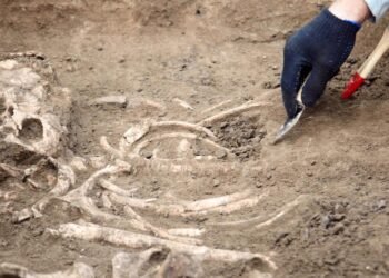 Kenya’da 1,5 Milyon Yıl Önceki İnsansı Türlere Ait Ayak İzleri Keşfi