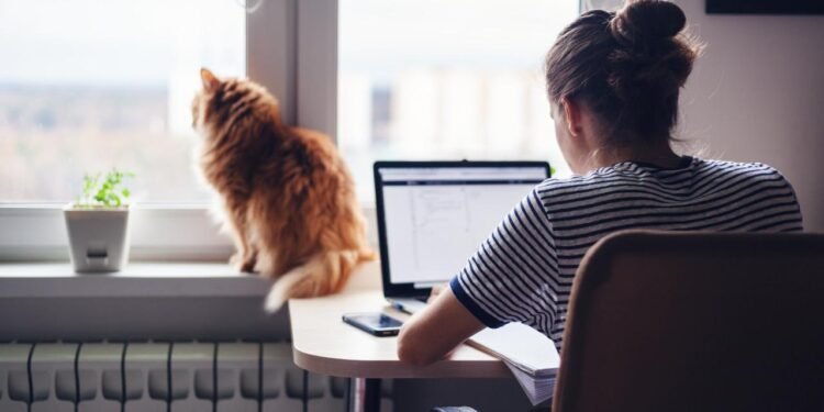 Ofise Dönüş Politikalarının Çalışan Değişim Hızına Etkisi