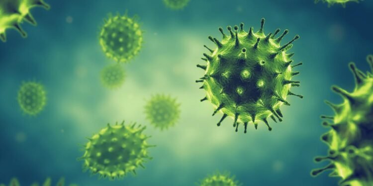 Queensland’de Kayıp Virüs Örnekleri Üzerine Endişeler