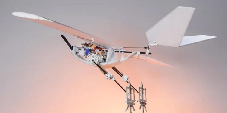 RAVEN: Kuş İlhamlı Yenilikçi Dron Geliştirme