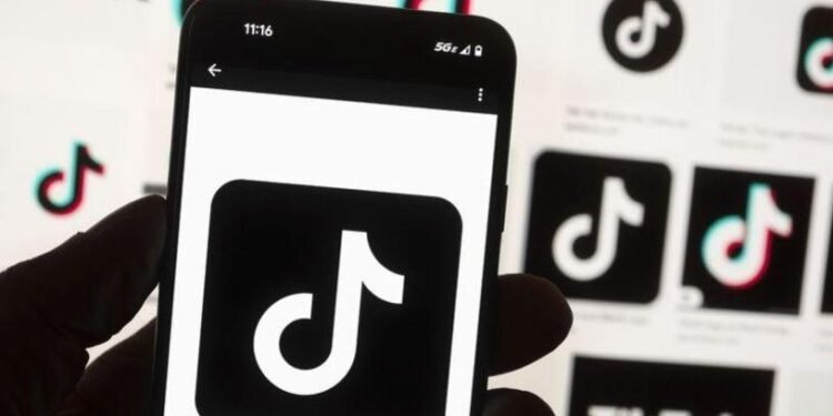TikTok ve ByteDance’in Yüksek Mahkemeye Başvurusu