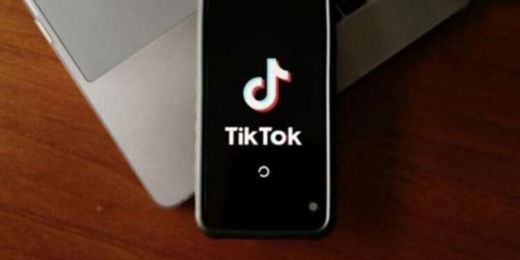 TikTok’un Geçici Tedbir Talebi ve Yasaklama Süreci