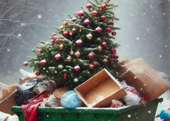Belçika Hükümeti Noel Ağaçları İçin İlginç Uyarı Yayınladı