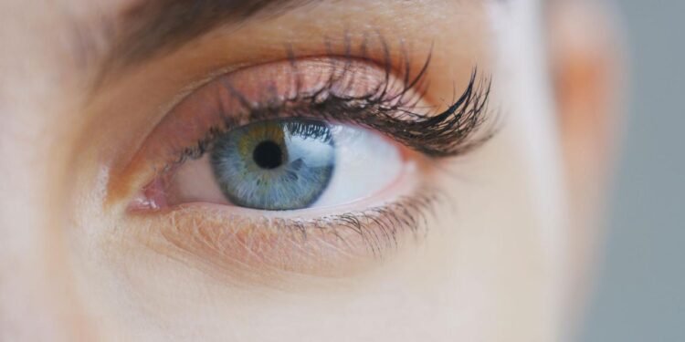 Gözlerimizdeki Üçüncü Göz Kapağı Kalıntıları