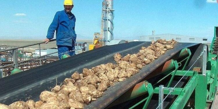 Iğdır Şeker Fabrikası’nın Özelleştirilmesi İle İlgili Karar