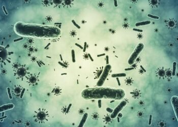 Magnezyumun Antibiyotik Dirençli Bakteriler Üzerindeki Etkisi