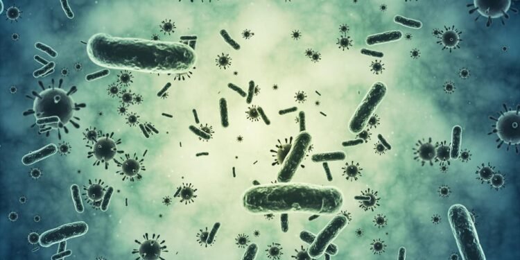 Magnezyumun Antibiyotik Dirençli Bakteriler Üzerindeki Etkisi