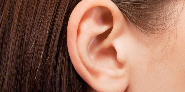 Atalarımızın Kulak Hareketi Yeteneği ve Modern Araştırmalar