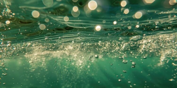 Dünya Okyanuslarının Renk Değişimi ve Siyanobakterilerin Rolü