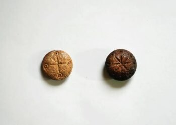 Hadrianopolis’te Keşfedilen Antik Strateji Oyunları Taşları