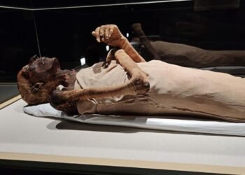 Mumyaların Hoş Kokuları: Antik Mısır’ın Sırları