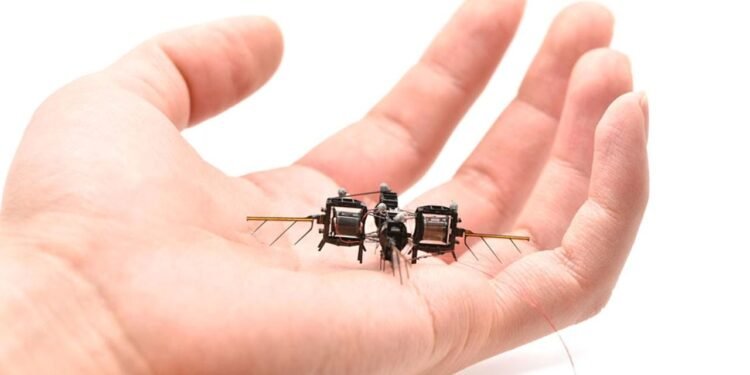 Robotik Böceklerle Yapay Tozlaşma Çözümü