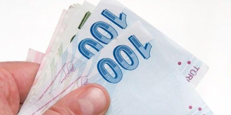 TCMB E9 Emisyon Grubu Yeni Banknotları Duyurusu