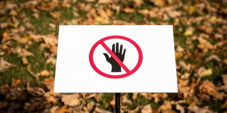 Tehlikeli Bitkiler: Doğanın Zehirli Yüzü