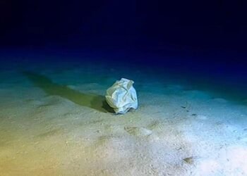 Akdeniz’deki Plastik Kirliliği Tehlikesi