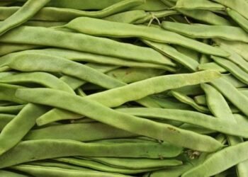 İTO Şubat Ayı Fiyat Değişimleri Raporu