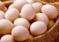 Tavuk Yumurtası İhracatında Yeni Kesinti Düzeni