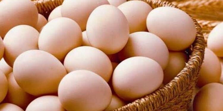 Tavuk Yumurtası İhracatında Yeni Kesinti Düzeni