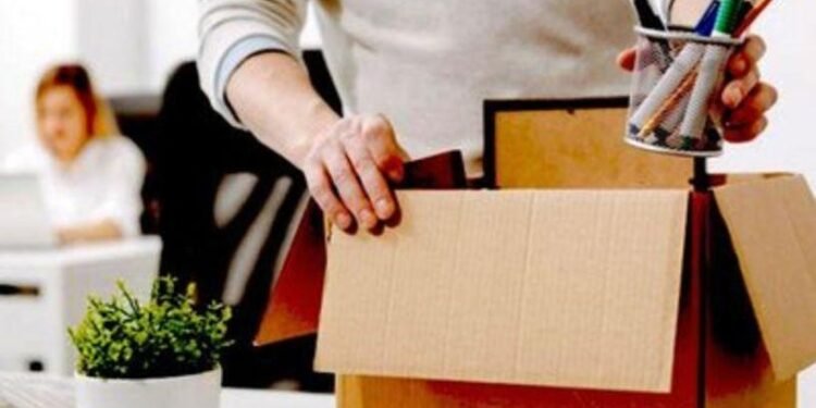 TÜİK Verilerine Göre Şubat 2025’te İşsizlik Oranı Açıklandı