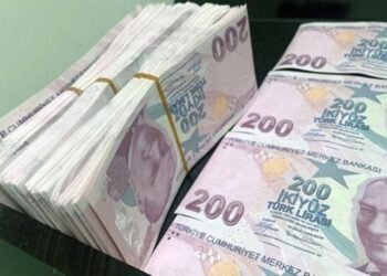 Türk Lirasının Değerini Koruma Amaçlı Yeni Mevzuat Değişikliği