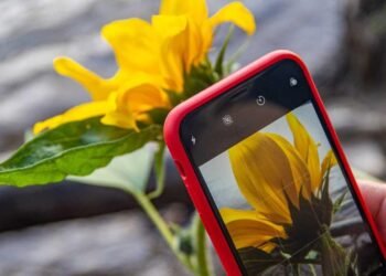 iPhone’da Görsel Arama Özelliği Nasıl Kullanılır?