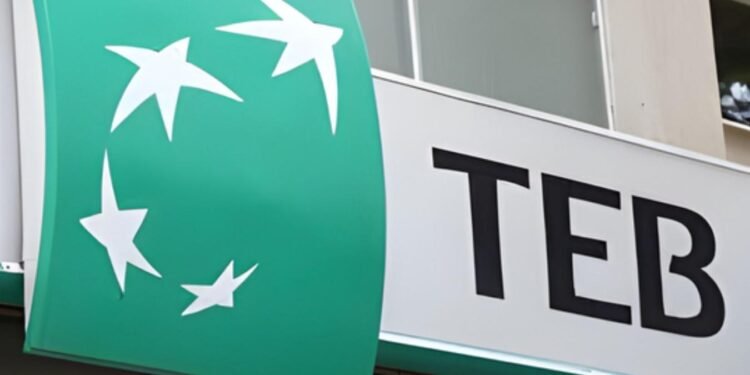 TEB 2025 Finansal Sonuçları ve Sürdürülebilir Büyüme Stratejileri