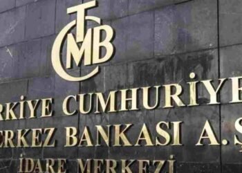 TCMB Kararıyla Elektronik Para ve Ödeme Hizmetlerinde Fon Nemalandırması: Koruma Hesapları için Yeni Esneklik