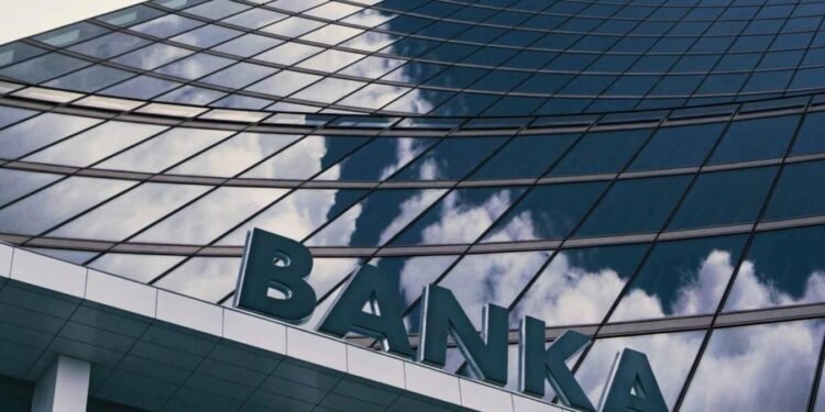 2023 Varlık Kanıtları: Katılım Bankaları Aktiflerden Karlılığa Uzanan Dönemsel Gelişmeler