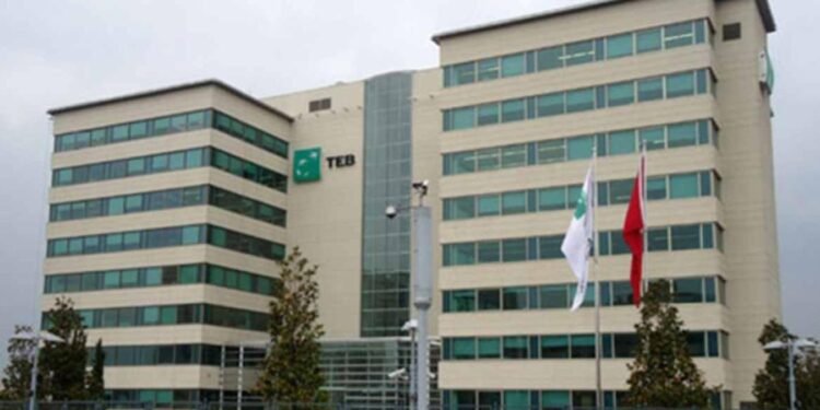 TEB’in 1Ç2024 Finansal Sonuçları ve Strateji Vurguları